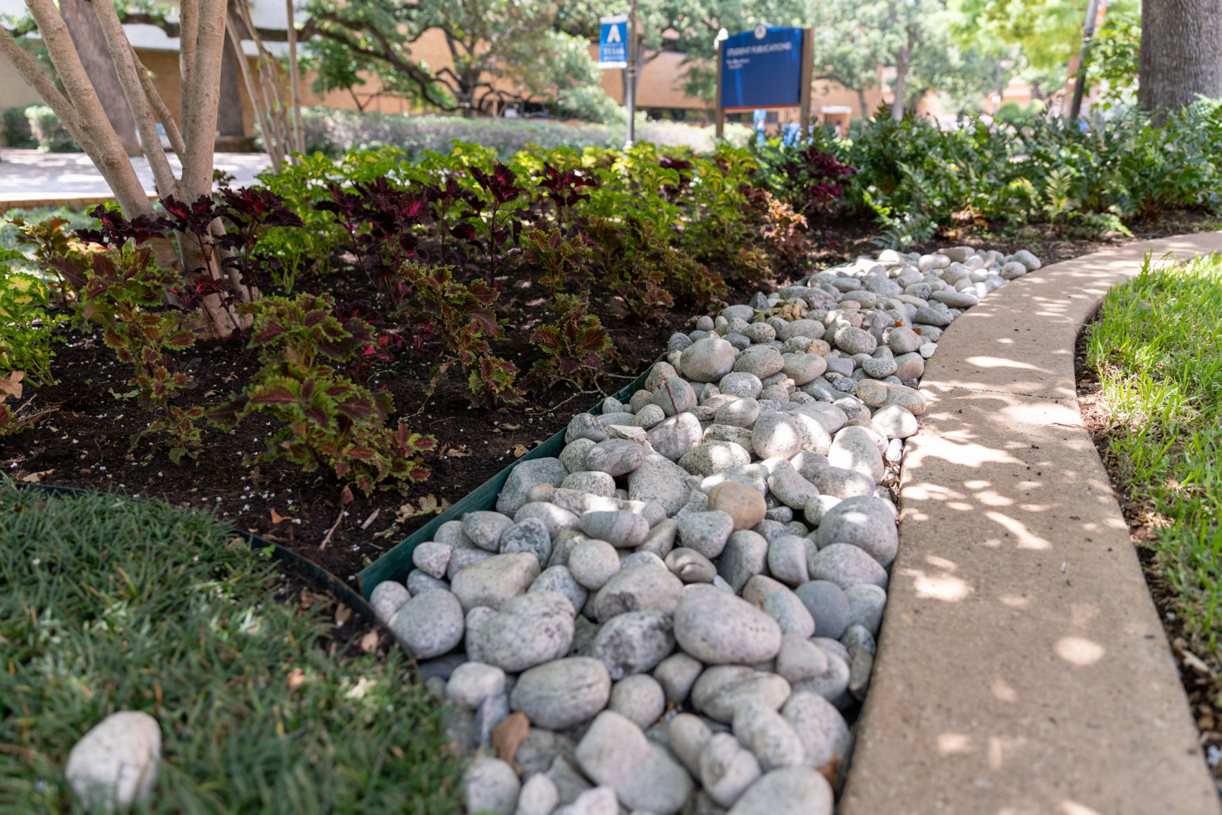 Student, faculty weigh in on benefits of campus greenery projects